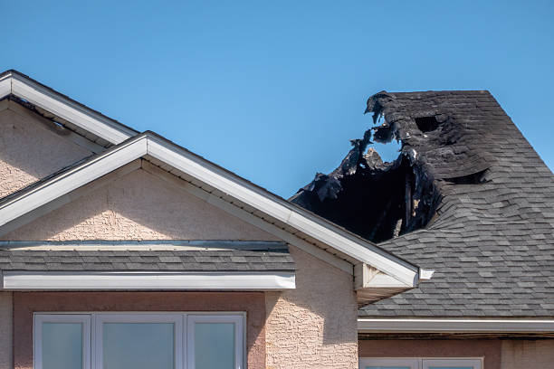 Top rated local Odor Removal specialists in Laveen, AZ